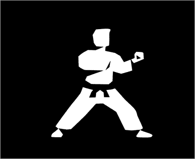 The Karate Framework KARATE FRAMEWORK